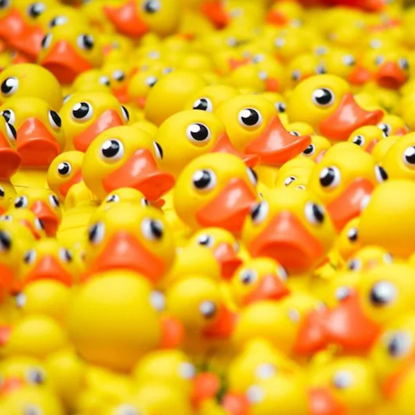 Para los más peques